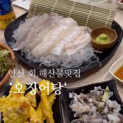 오징어당 대표후기 이미지 1